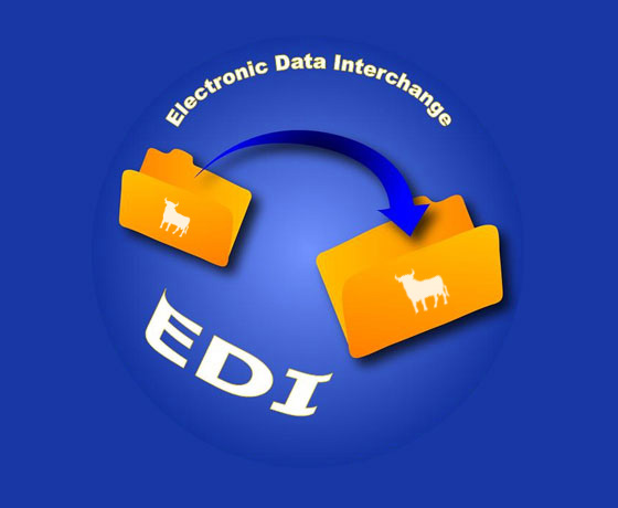 EDI Technology